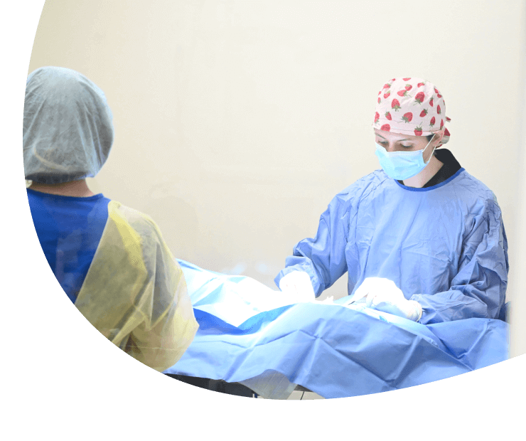 Surgical Services