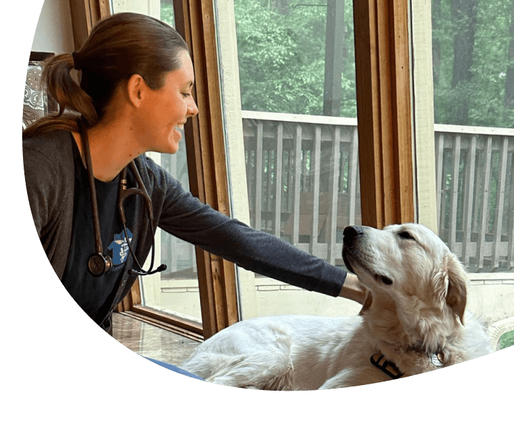 Careers at HomeVets