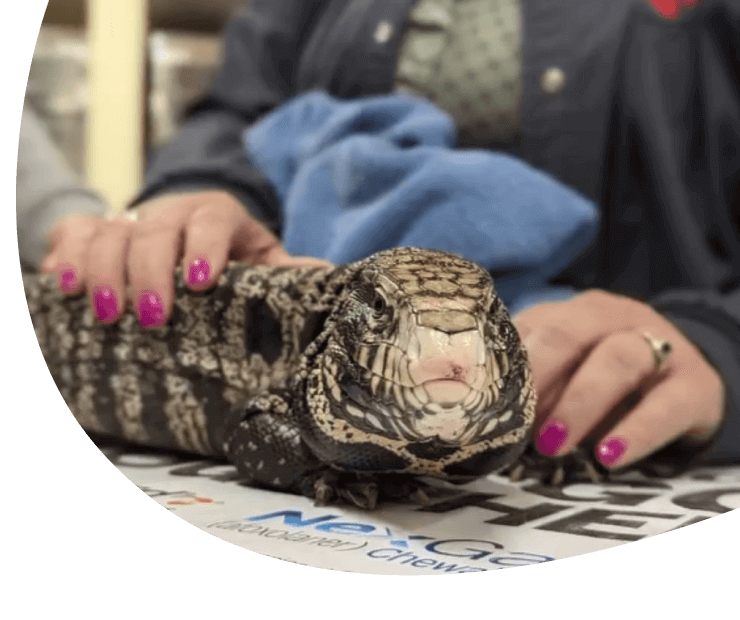 Exotic Pet Care