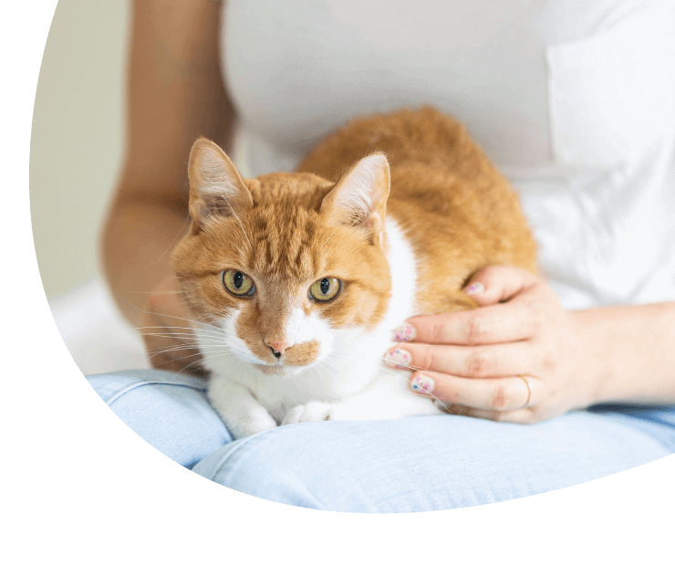 PetDesk: Managing Your Pet’s Care Just Got Even Easier