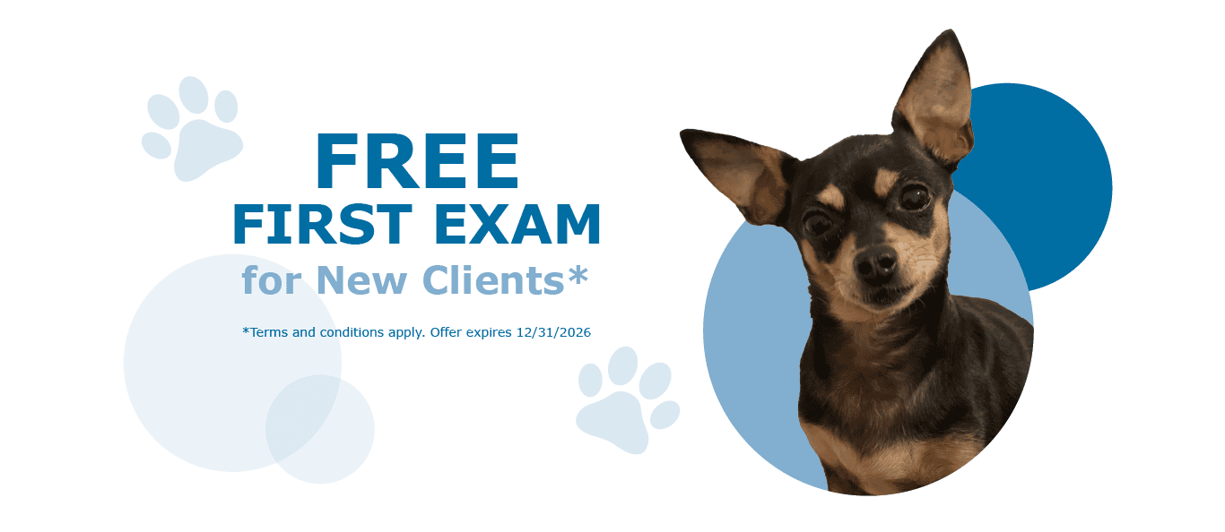 Free First Exam - Desktop